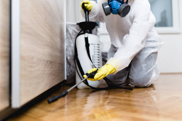 Best Bed Bug Extermination  in Bement, IL