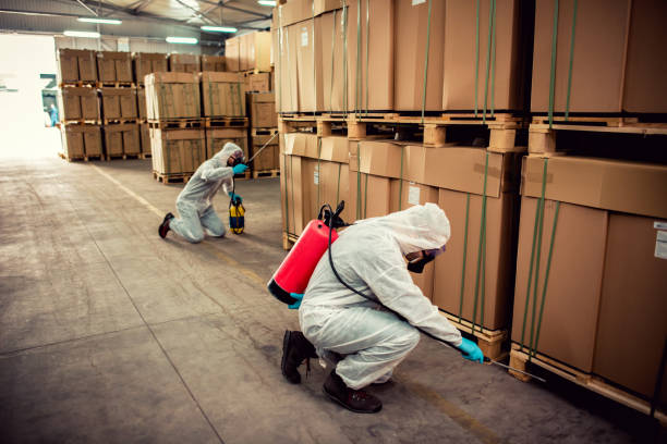 Best Pest Control Near Me  in Bement, IL