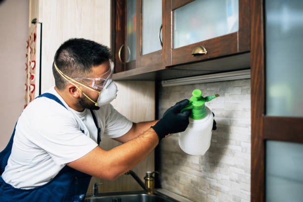 Best Best Pest Control Companies  in Bement, IL