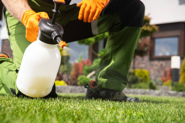 Best Bed Bug Extermination  in Bement, IL