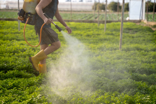 Best Pest Prevention Services  in Bement, IL