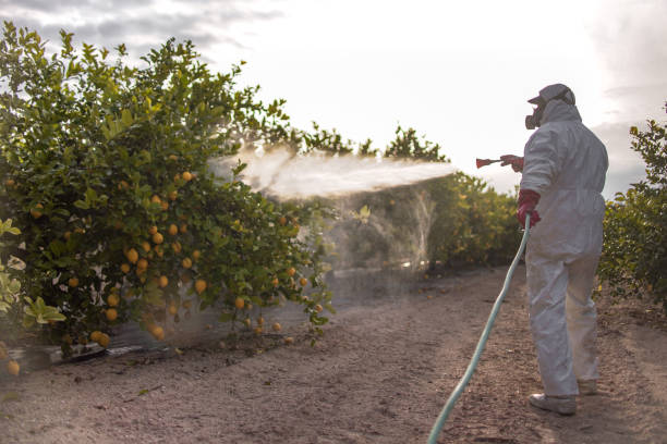 Best Pest Prevention Services  in Bement, IL