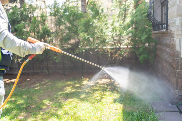 Best Spider Control Near Me  in Bement, IL