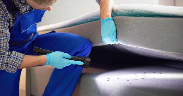 Best Affordable Pest Control Services  in Bement, IL