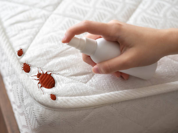 Professional Pest Control in Bement, IL