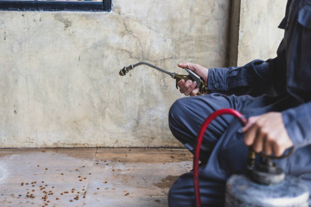 Best Pest Removal Services  in Bement, IL