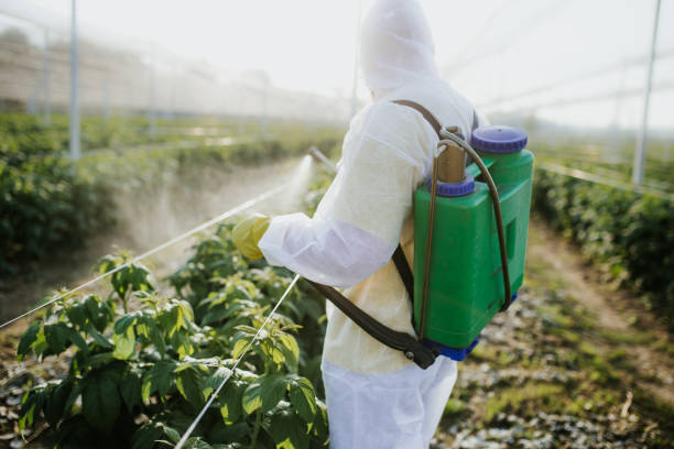 Best Residential Pest Control  in Bement, IL